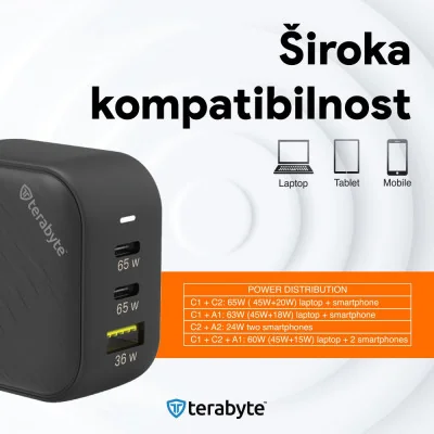 PUNJAČ TERABYTE TR65W, GaN, PPS, PD 3.0, QC 3.0, 65W sa PD Type c kablom crni